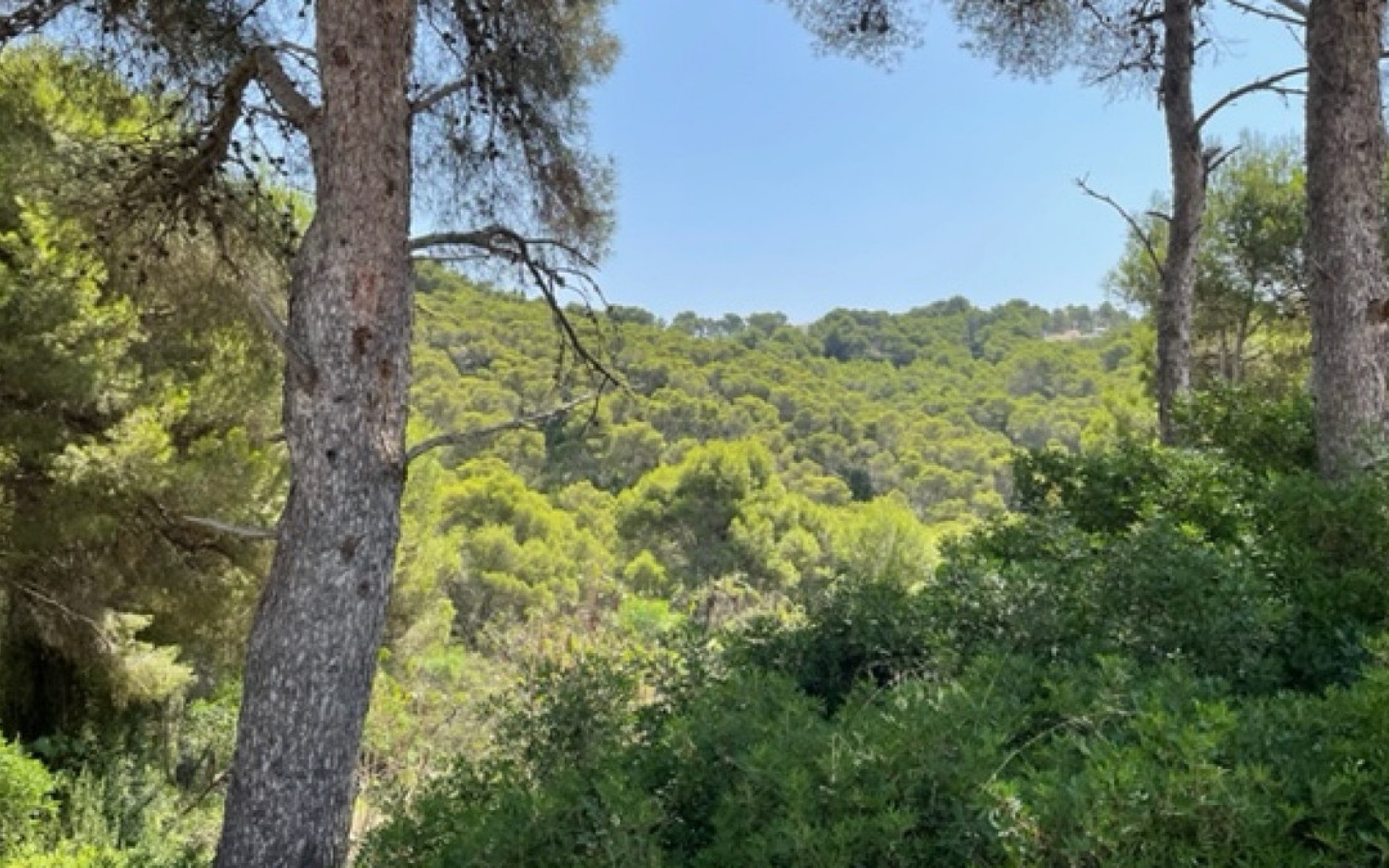 Resale - Land - Jávea - Xàbia - Jávea - Xàbia Centro