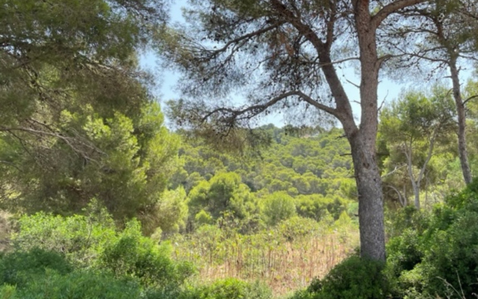 Resale - Land - Jávea - Xàbia - Jávea - Xàbia Centro