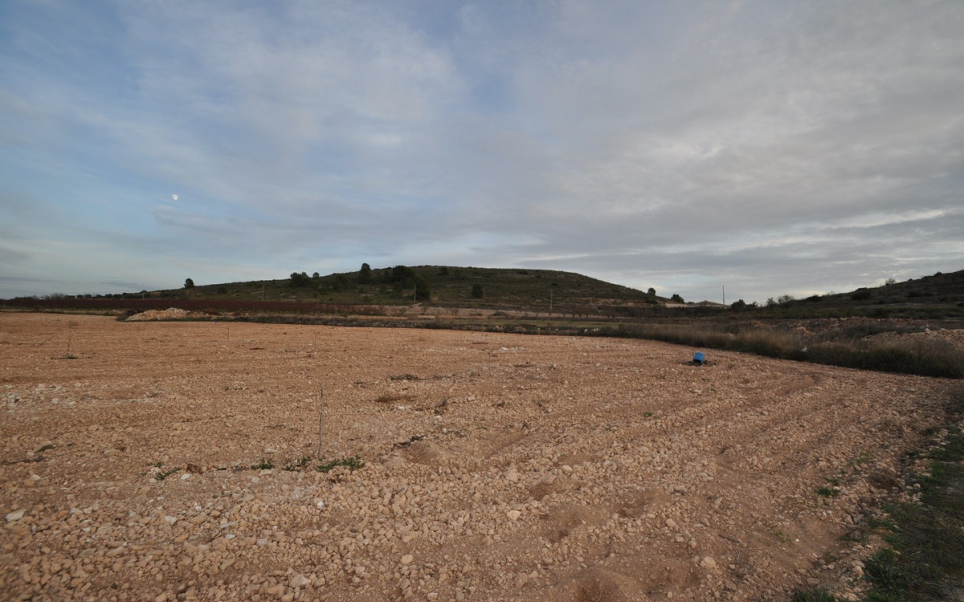 Resale - Land - Jumilla - Cañada del Trigo