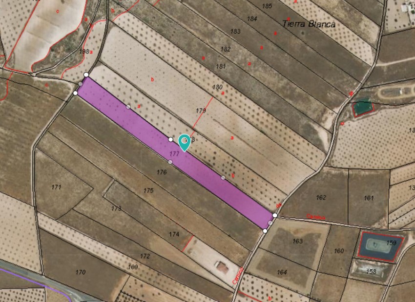 Resale - Land - Jumilla - Jumilla Centro