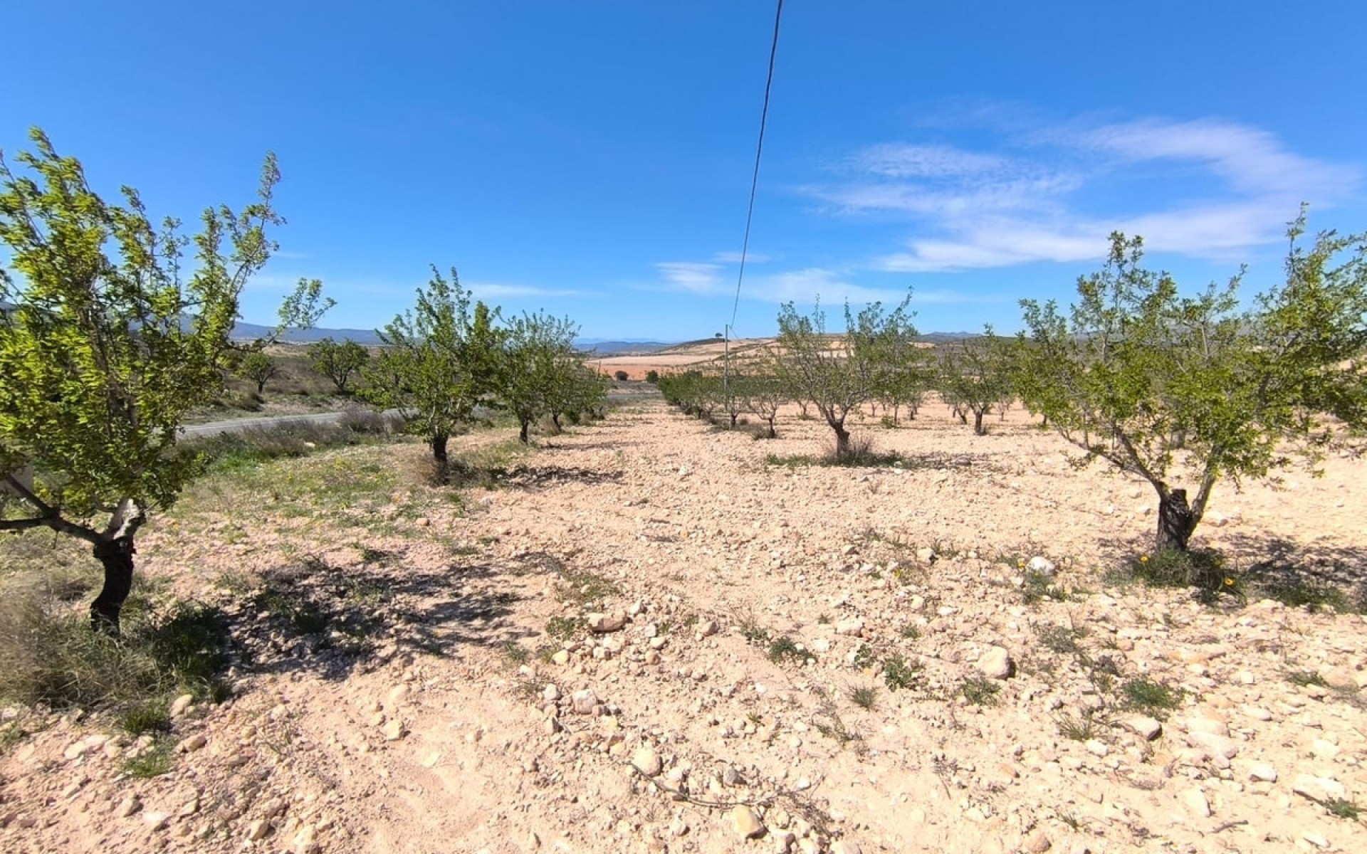 Resale - Land - Jumilla - Jumilla Centro