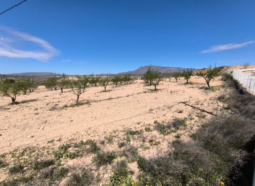 Resale - Land - Jumilla - Jumilla Centro