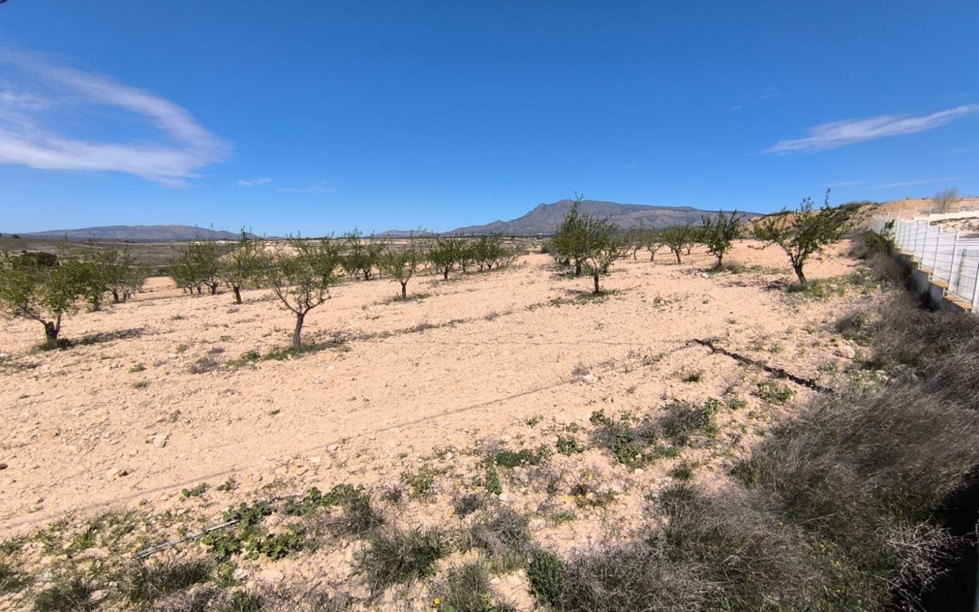 Resale - Land - Jumilla - Jumilla Centro