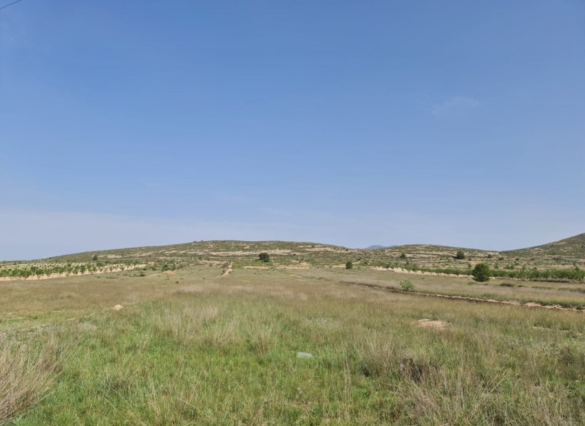 Resale - Land - Jumilla - Jumilla Centro