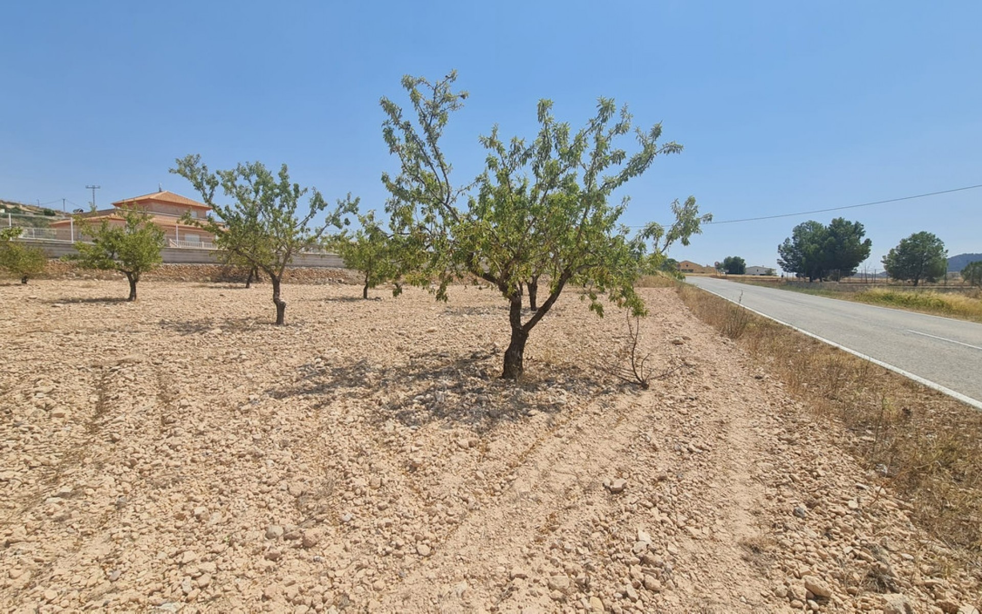 Resale - Land - Jumilla - Jumilla Centro