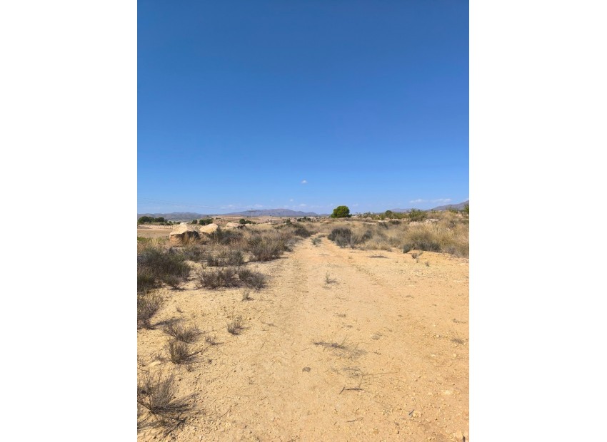 Resale - Land - Jumilla - Jumilla Centro