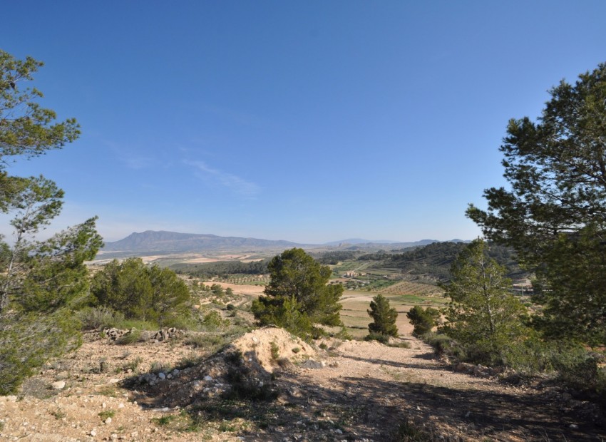Resale - Land - Jumilla - La Zarza