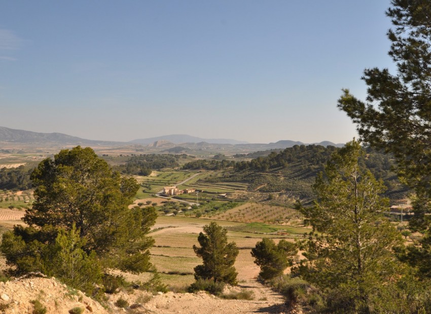 Resale - Land - Jumilla - La Zarza