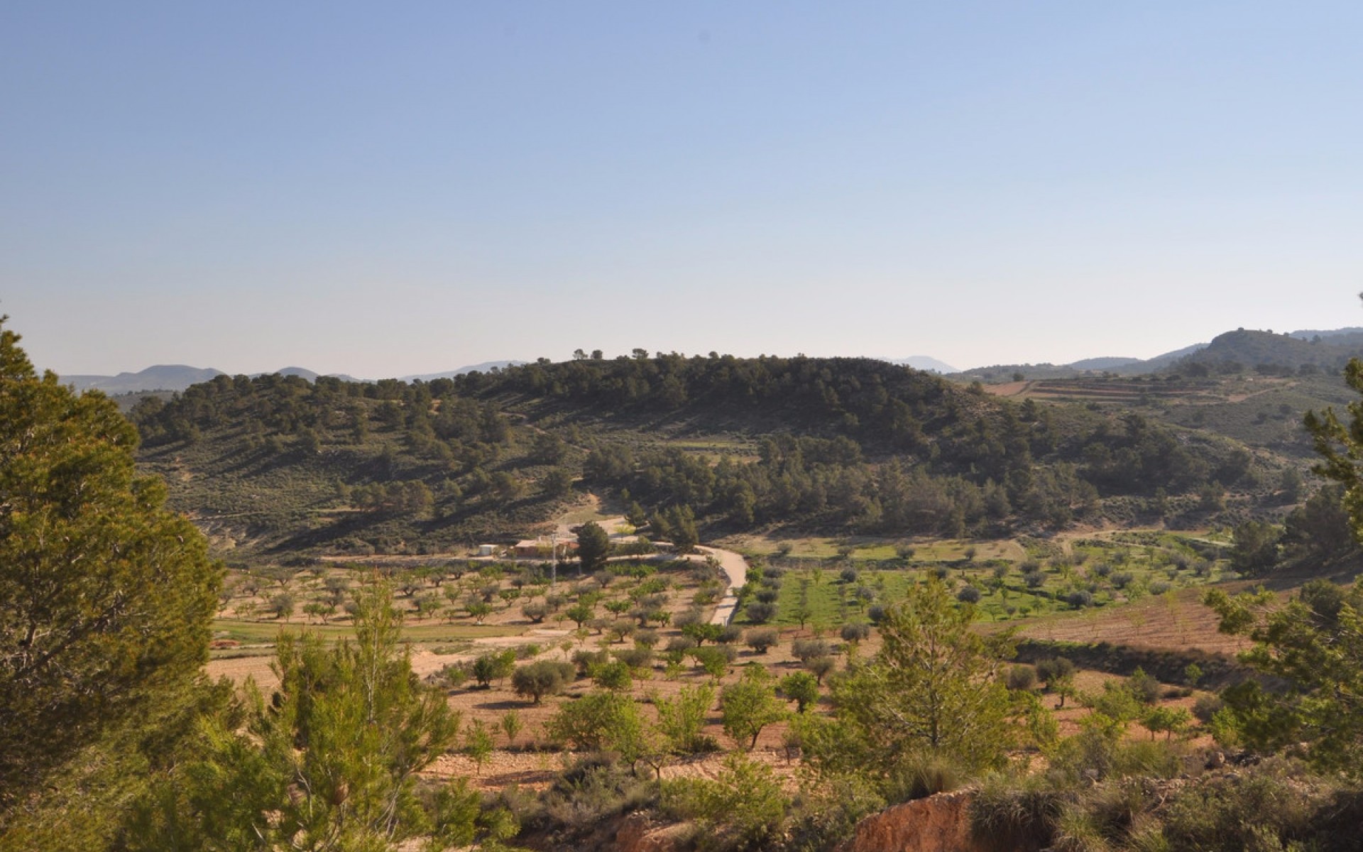 Resale - Land - Jumilla - La Zarza