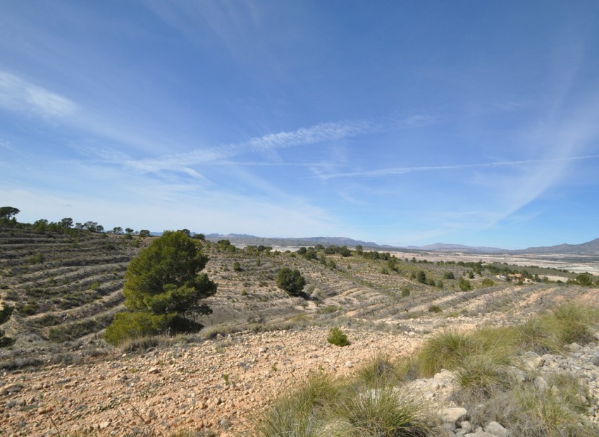 Resale - Land - Jumilla - La Zarza
