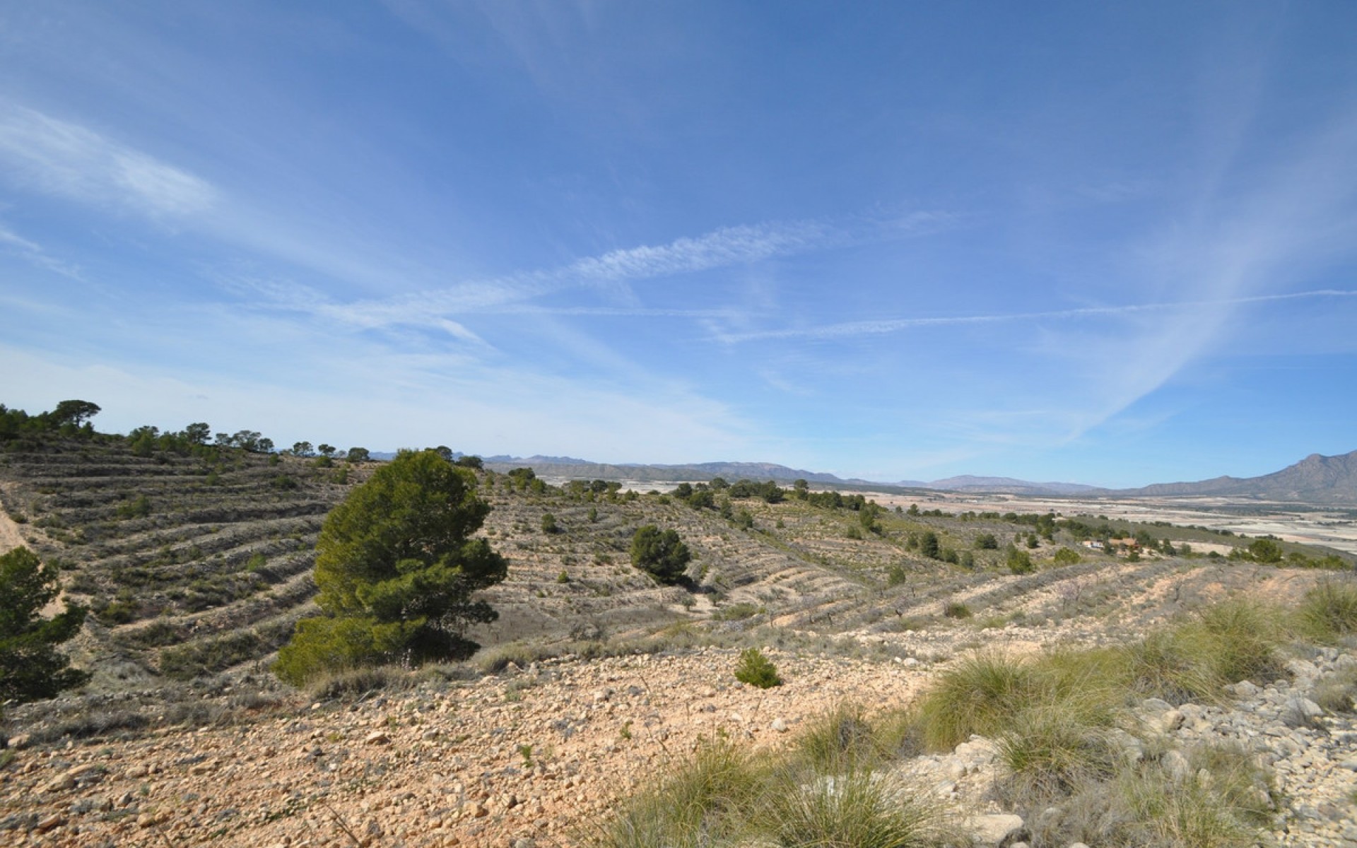 Resale - Land - Jumilla - La Zarza