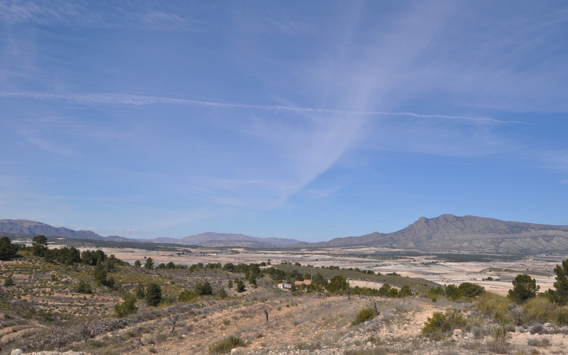 Resale - Land - Jumilla - La Zarza