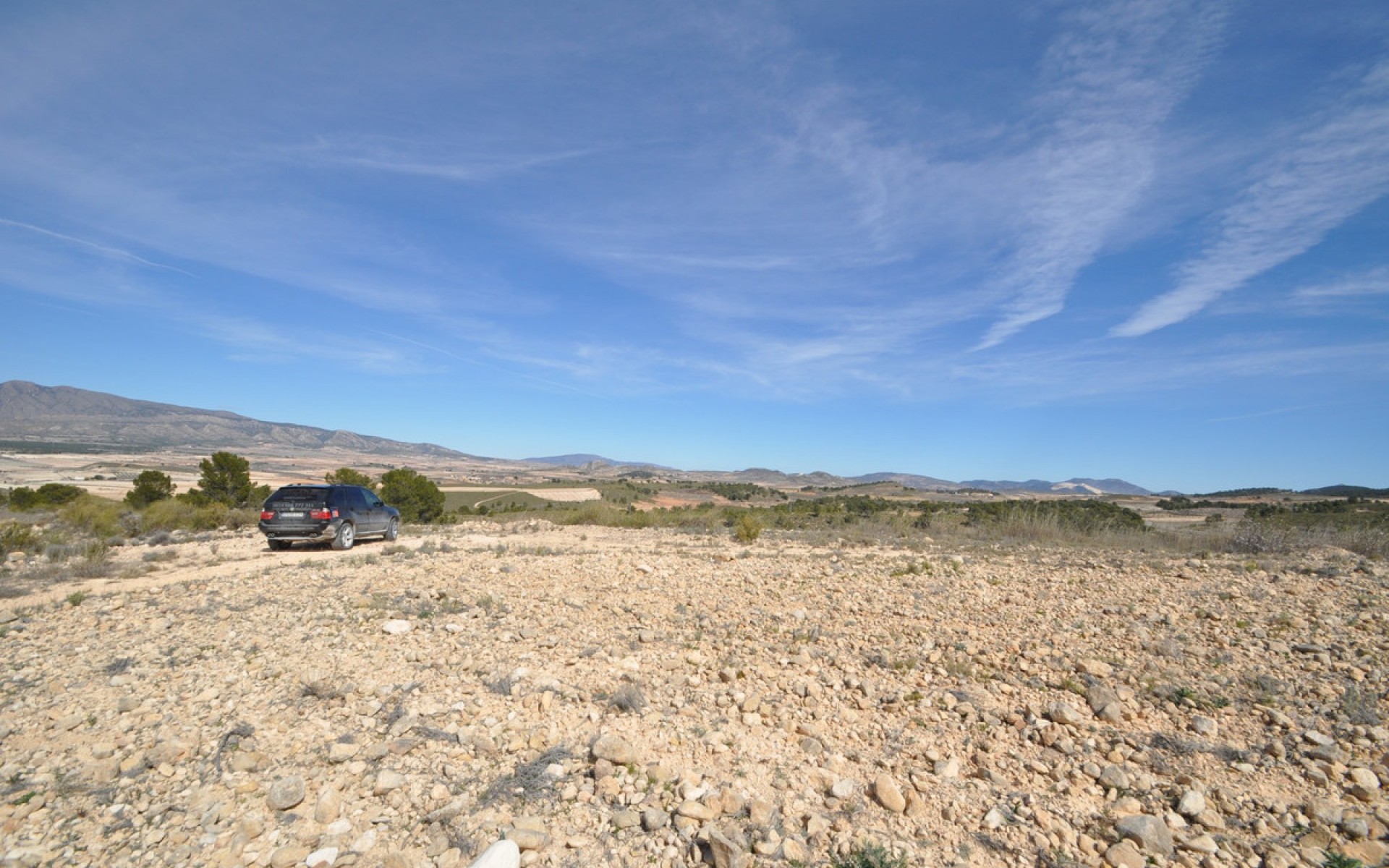 Resale - Land - Jumilla - La Zarza