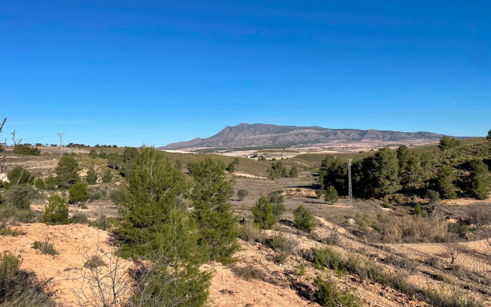 Resale - Land - Jumilla - La Zarza