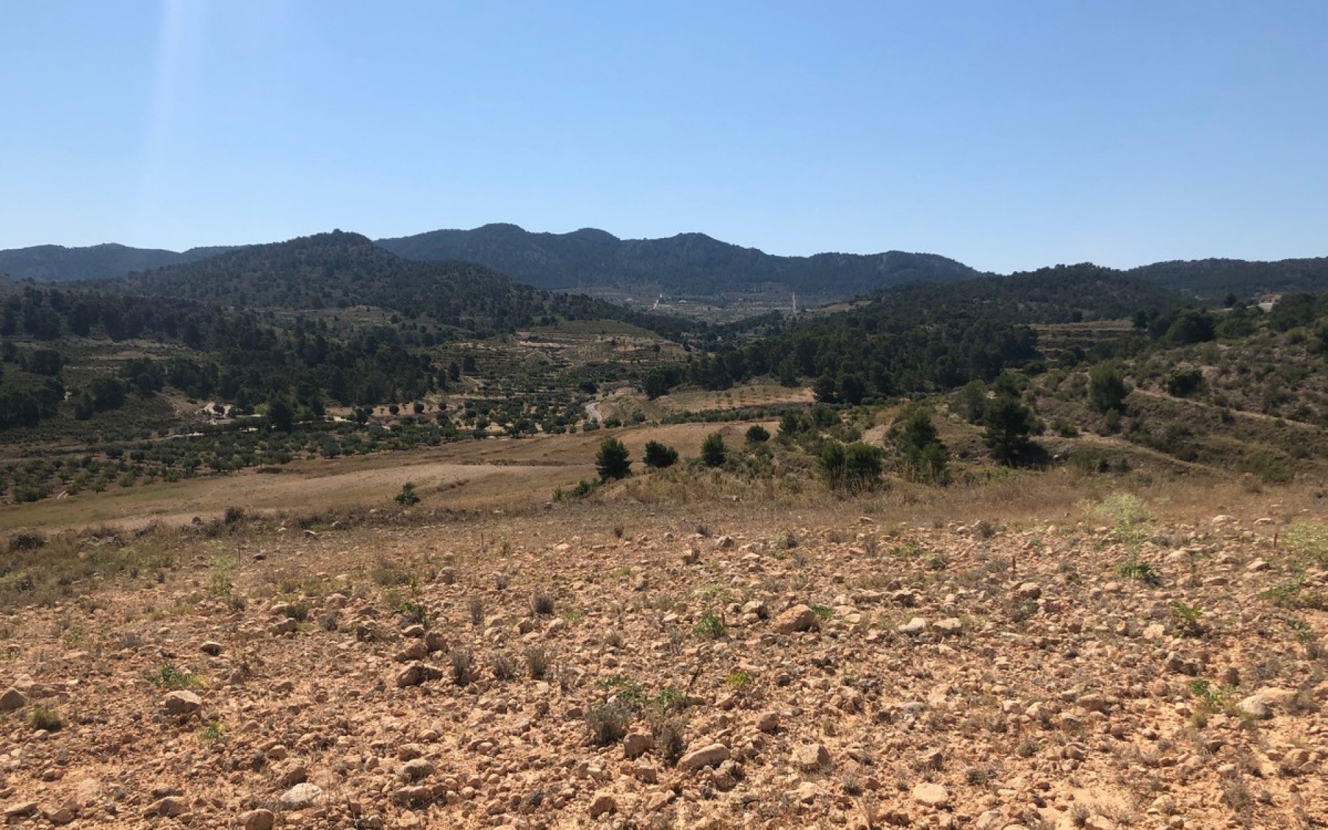 Resale - Land - Jumilla - La Zarza