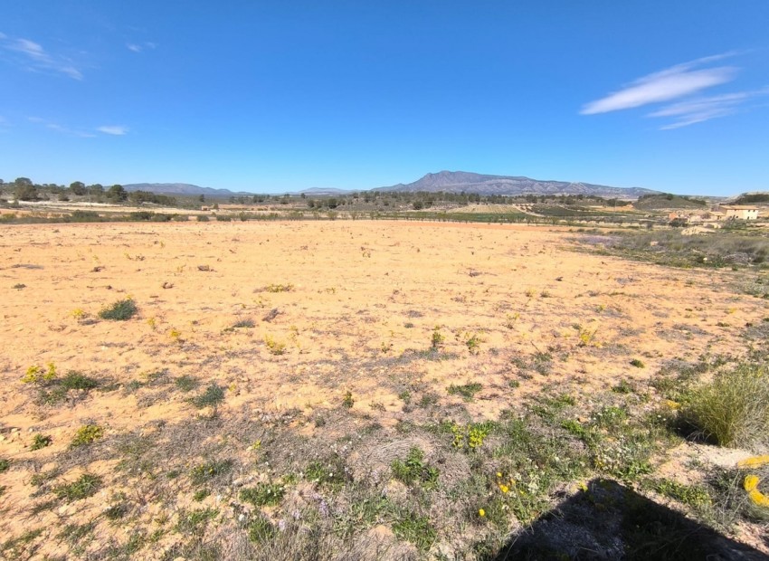 Resale - Land - Jumilla - La Zarza