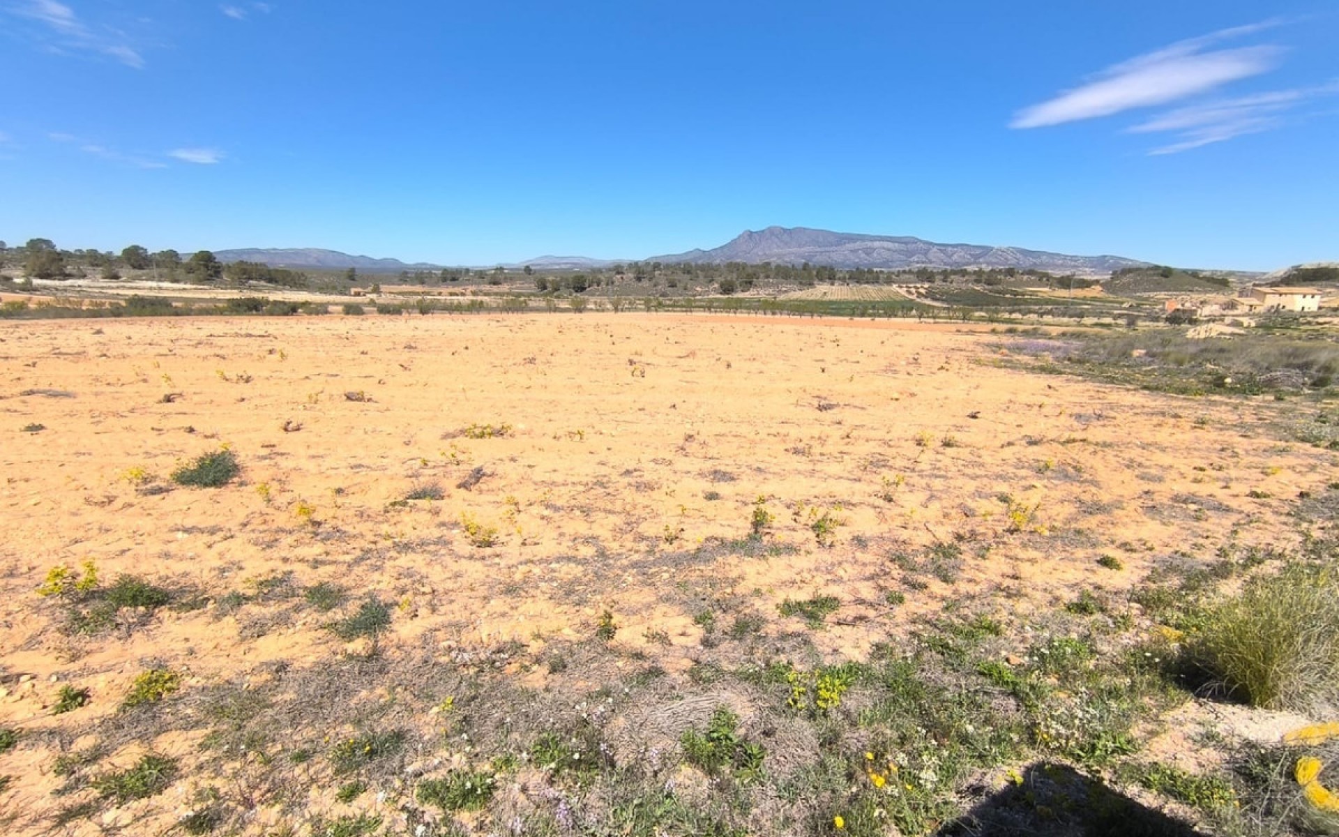 Resale - Land - Jumilla - La Zarza