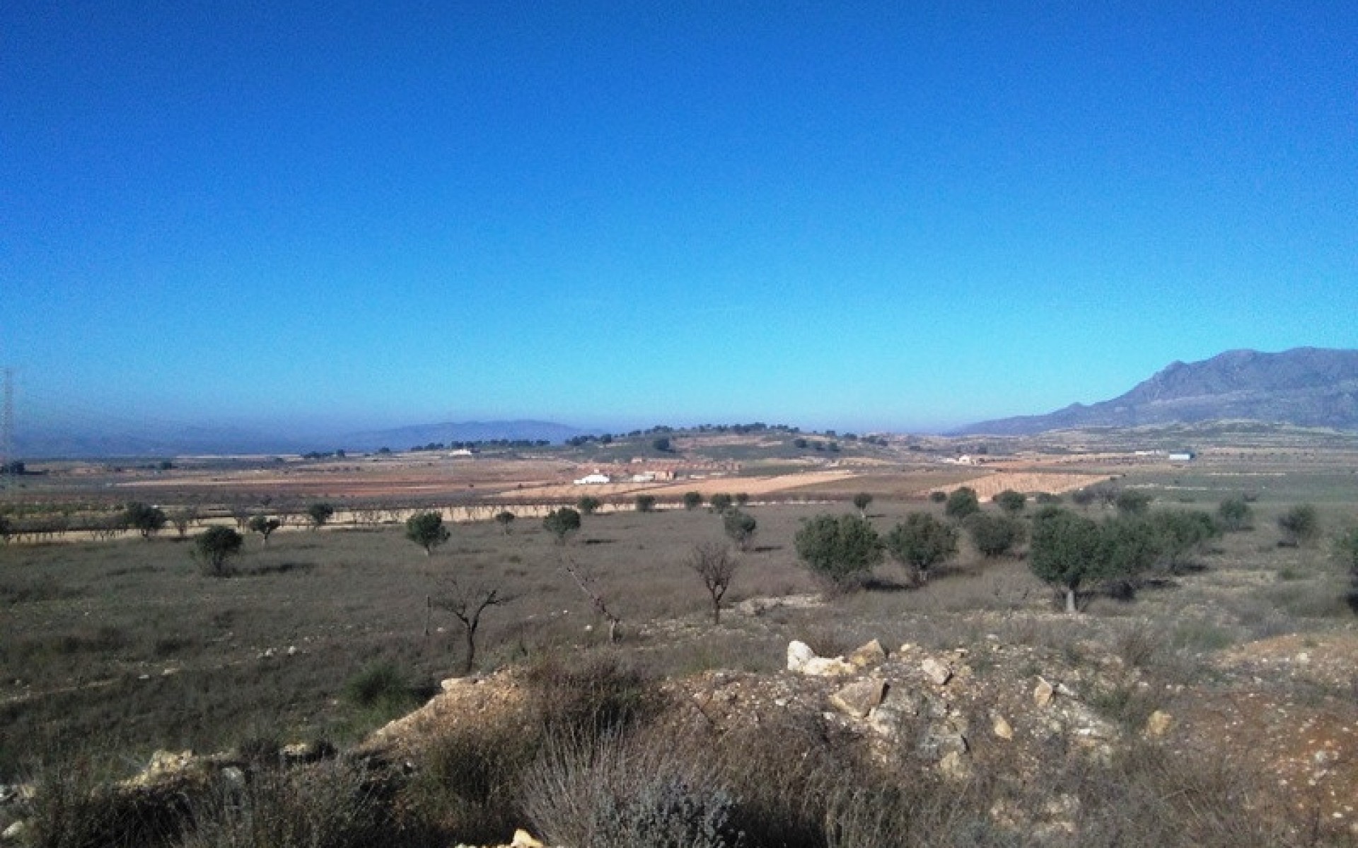 Resale - Land - Jumilla - Torre del Rico