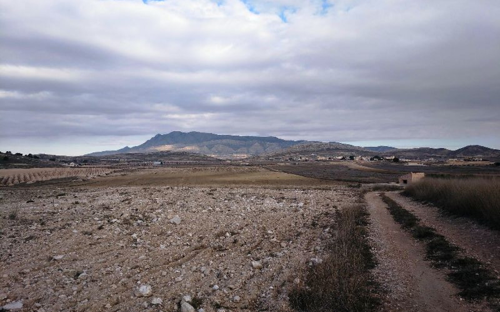 Resale - Land - Jumilla - Torre del Rico