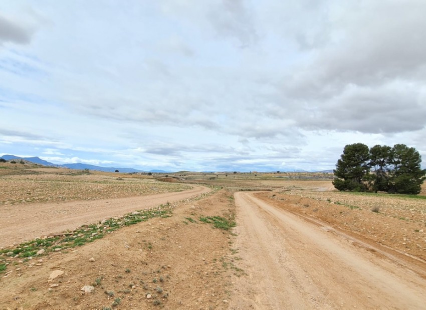 Resale - Land - Jumilla - Torre del Rico