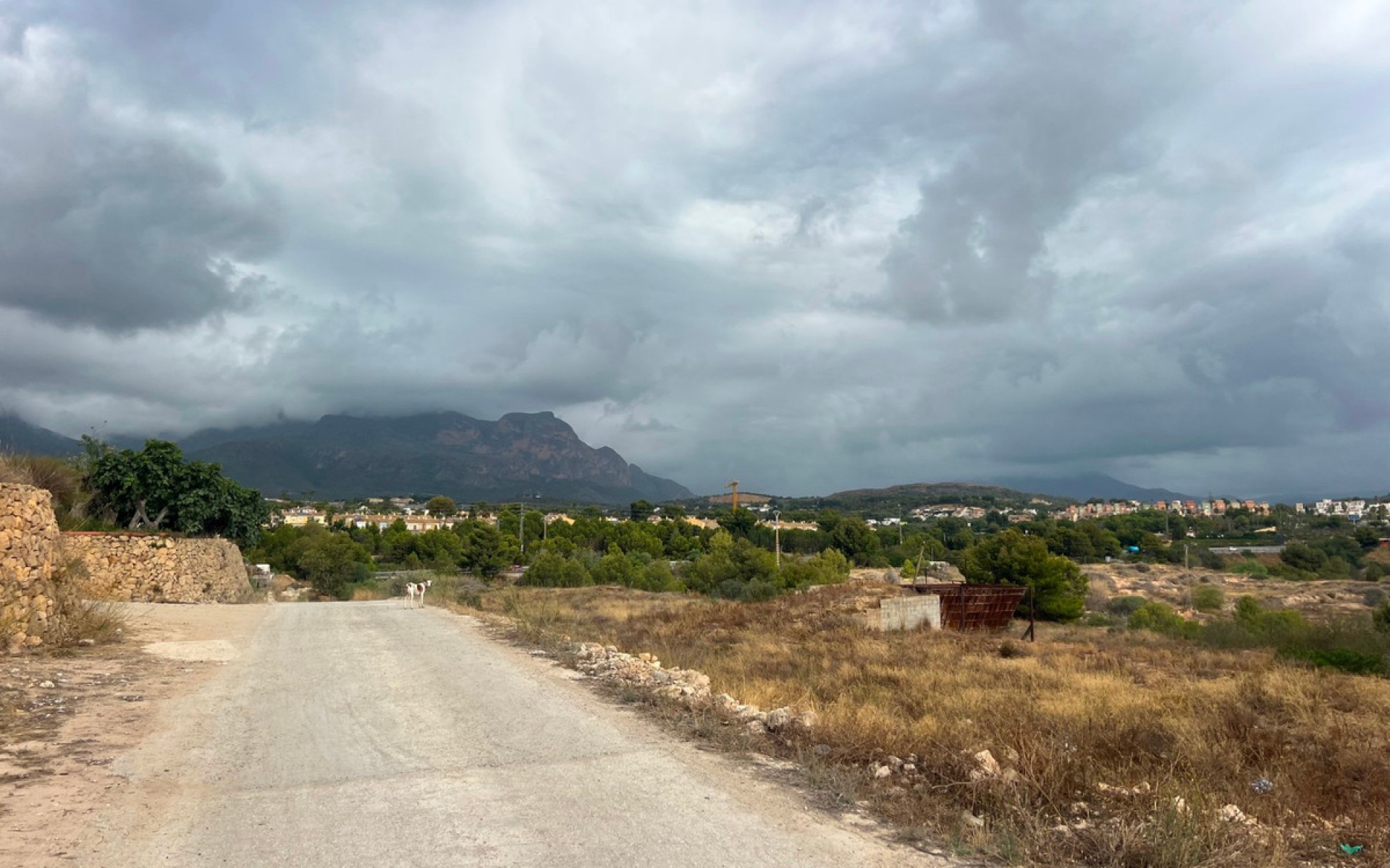 Resale - Land - l'Alfas del Pi - L'Alfás del Pi Centro