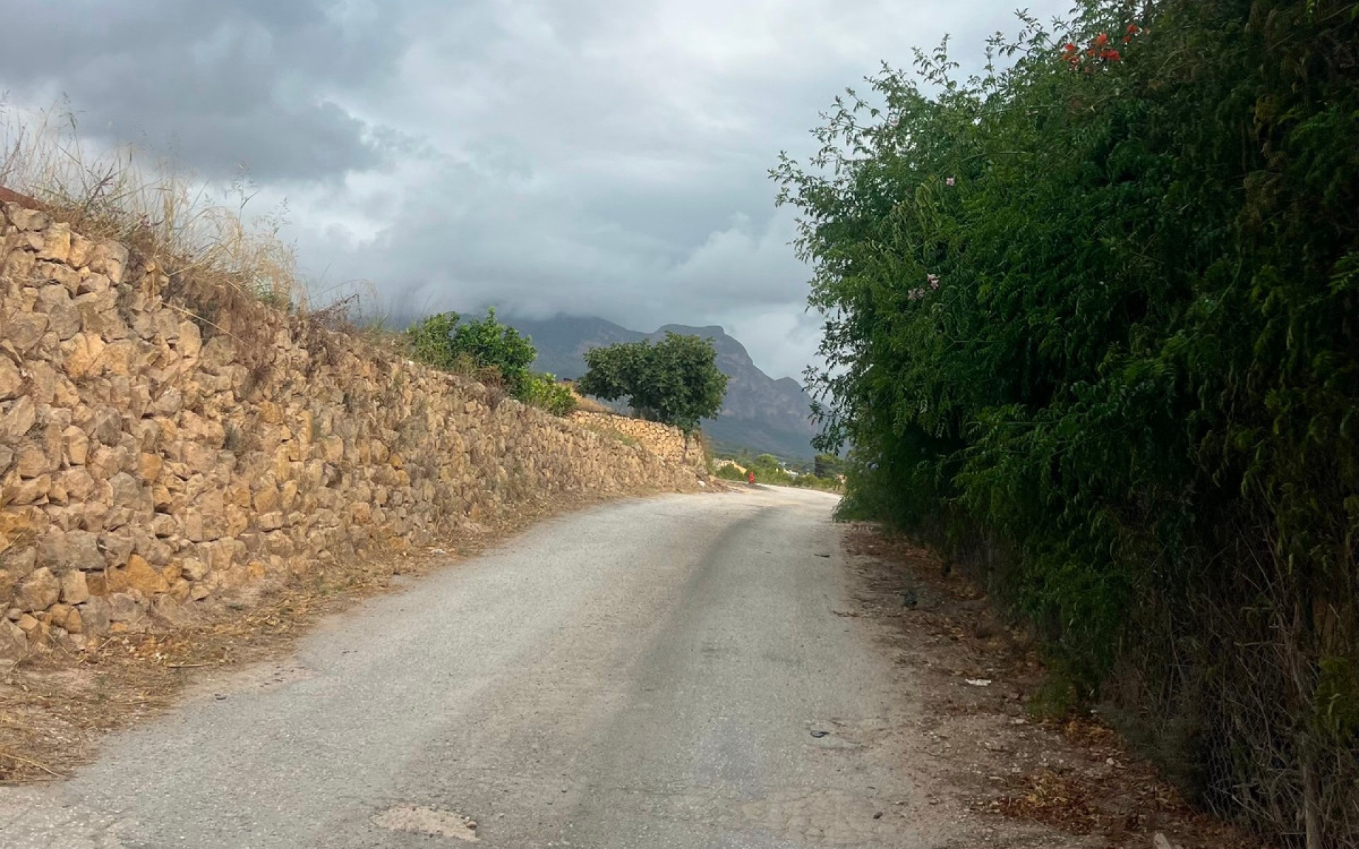 Resale - Land - l'Alfas del Pi - L'Alfás del Pi Centro