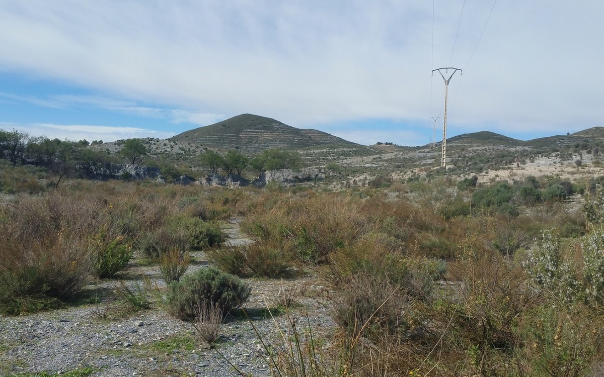 Resale - Land - Lorca - Lorca Centro