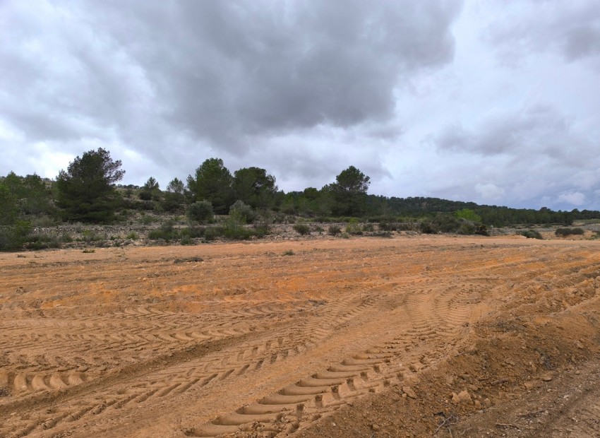 Resale - Land - Monóvar - Monòver - Chinorlet