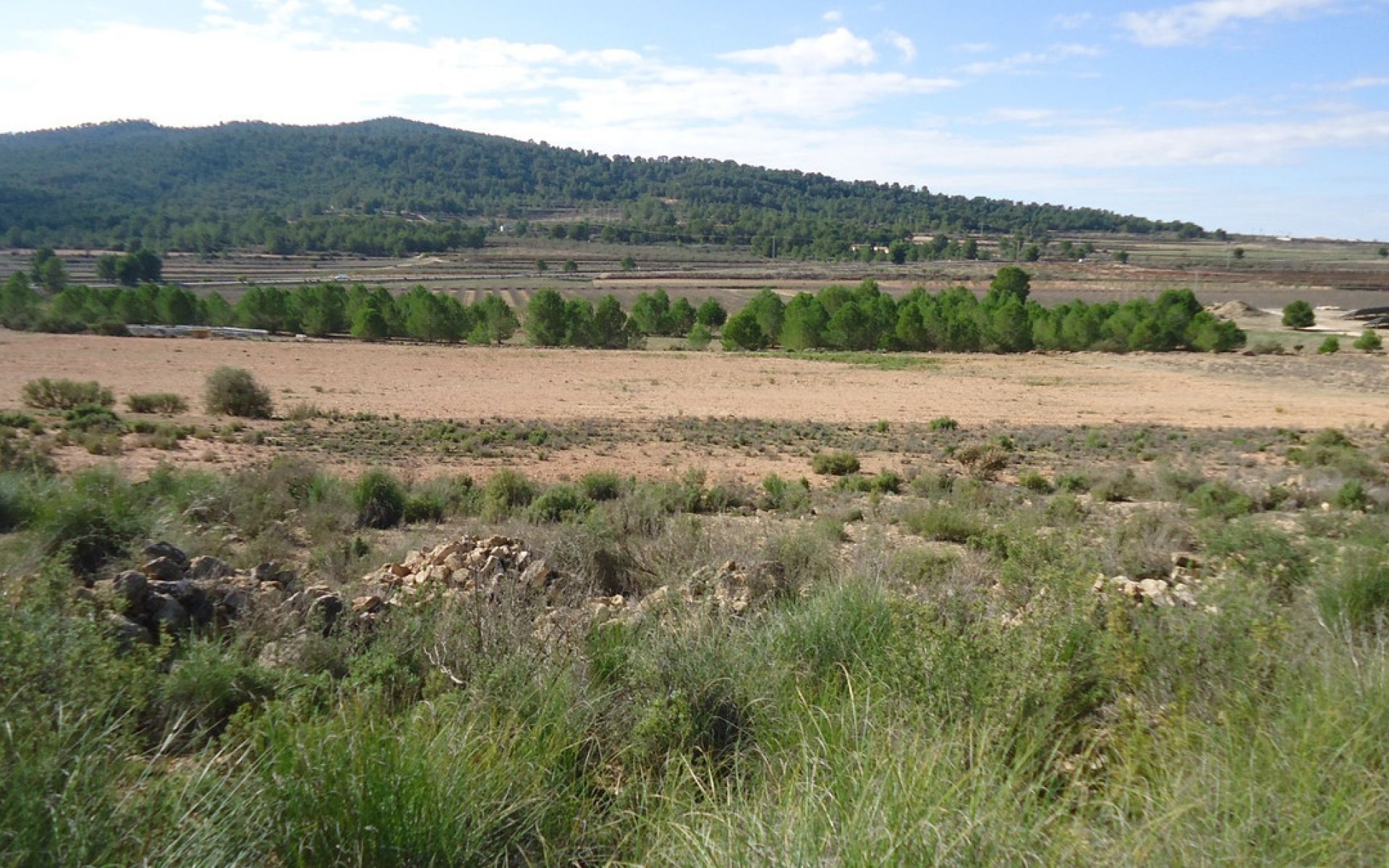 Resale - Land - Monóvar - Monòver - Monóvar - Monòver Centro