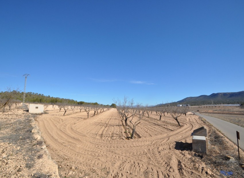 Resale - Land - Monóvar - Monòver - Monóvar - Monòver Centro