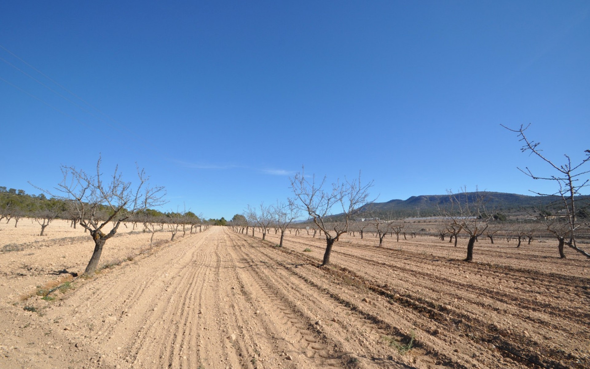 Resale - Land - Monóvar - Monòver - Monóvar - Monòver Centro