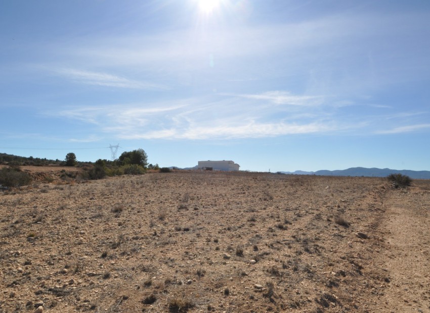 Resale - Land - Monóvar - Monòver - Monóvar - Monòver Centro