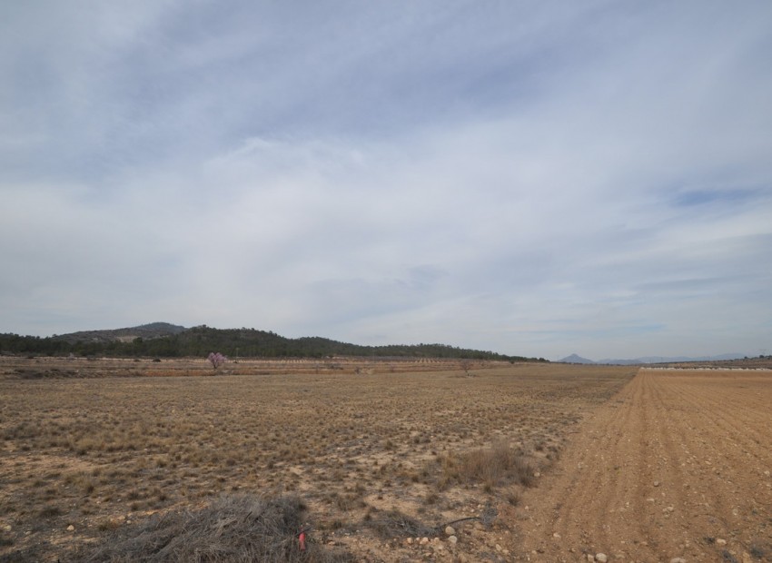 Resale - Land - Monóvar - Monòver - Monóvar - Monòver Centro