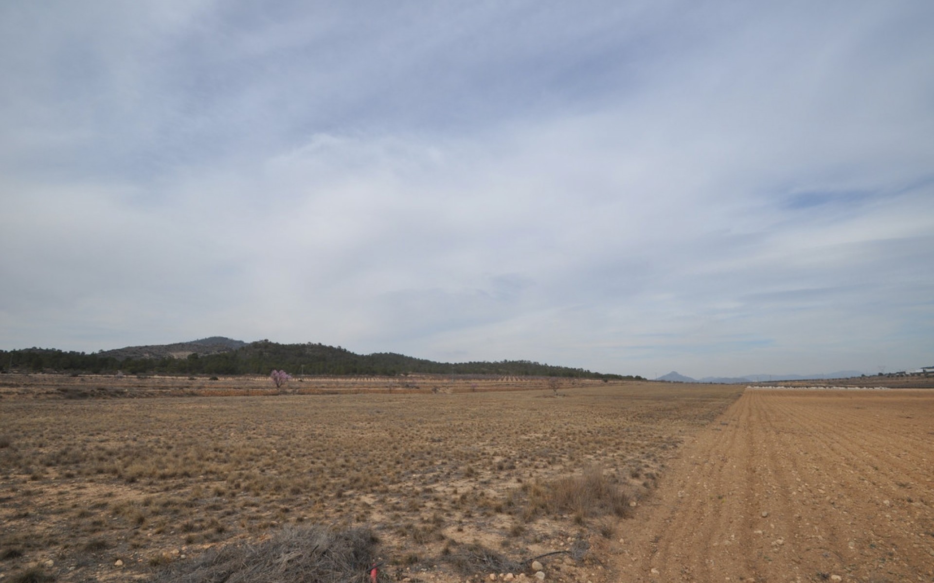 Resale - Land - Monóvar - Monòver - Monóvar - Monòver Centro