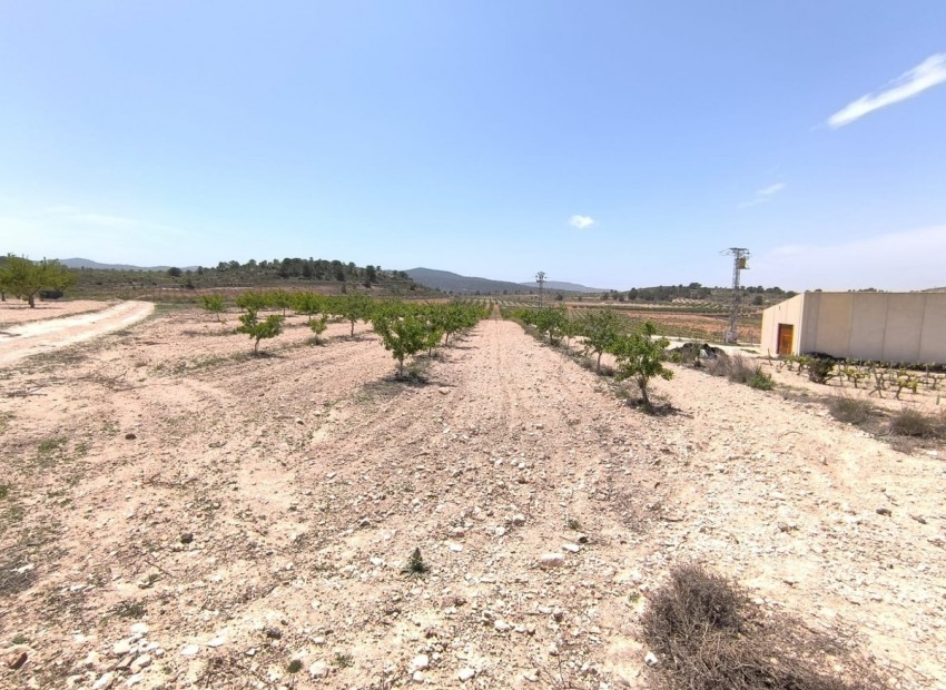 Resale - Land - Monóvar - Monòver - Monóvar - Monòver Centro