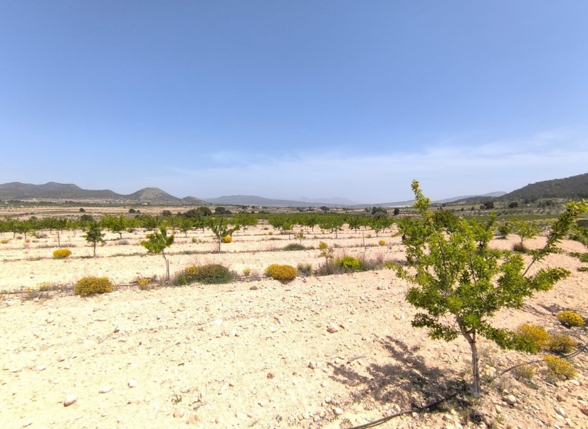 Resale - Land - Monóvar - Monòver - Monóvar - Monòver Centro