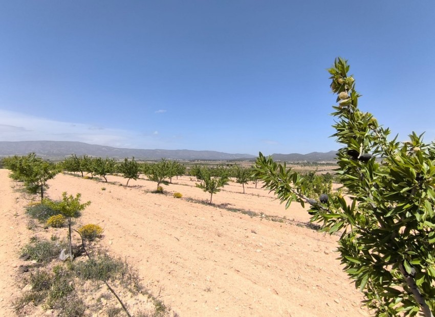 Resale - Land - Monóvar - Monòver - Monóvar - Monòver Centro