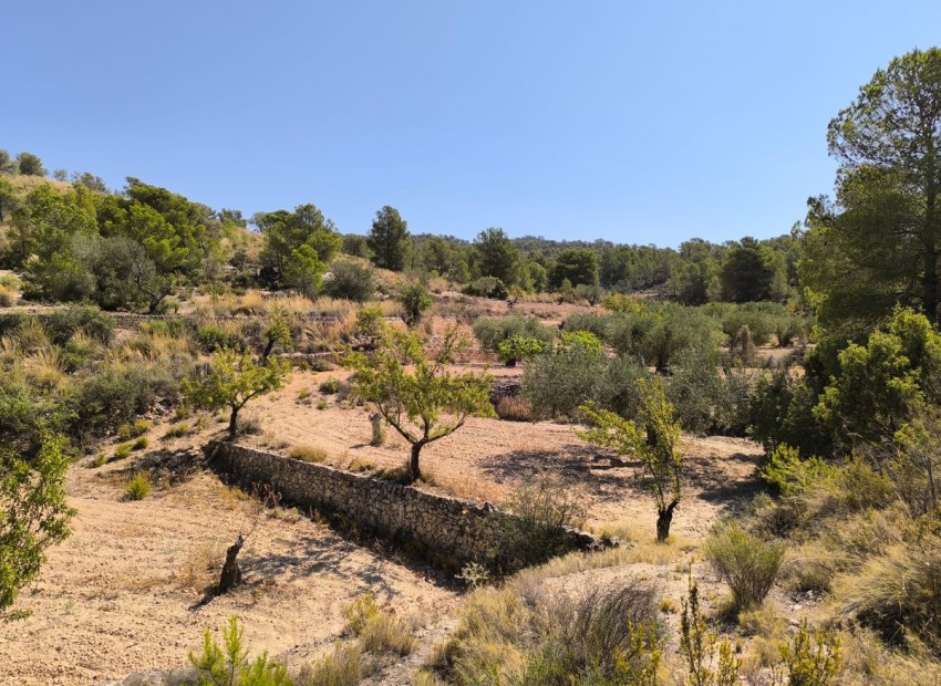 Resale - Land - Monóvar - Monòver - Monóvar - Monòver Centro