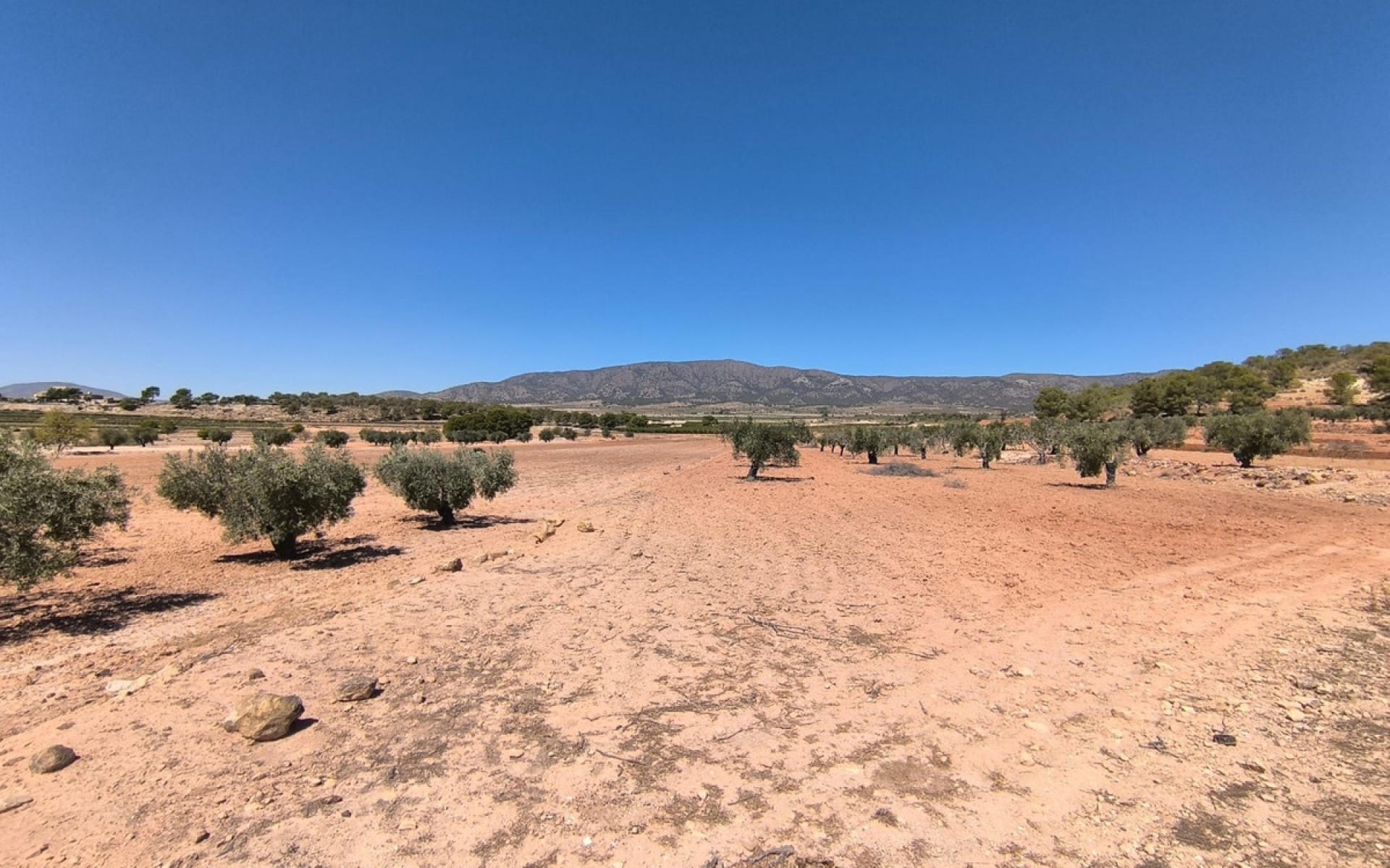 Resale - Land - Monóvar - Monòver - Monóvar - Monòver Centro