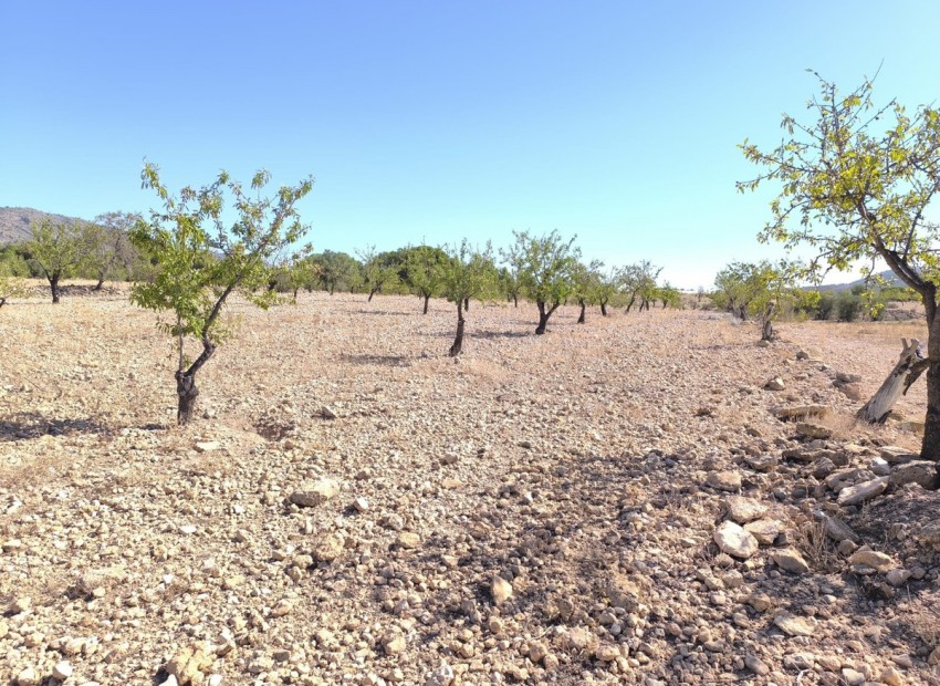 Resale - Land - Monóvar - Monòver - Monóvar - Monòver Centro