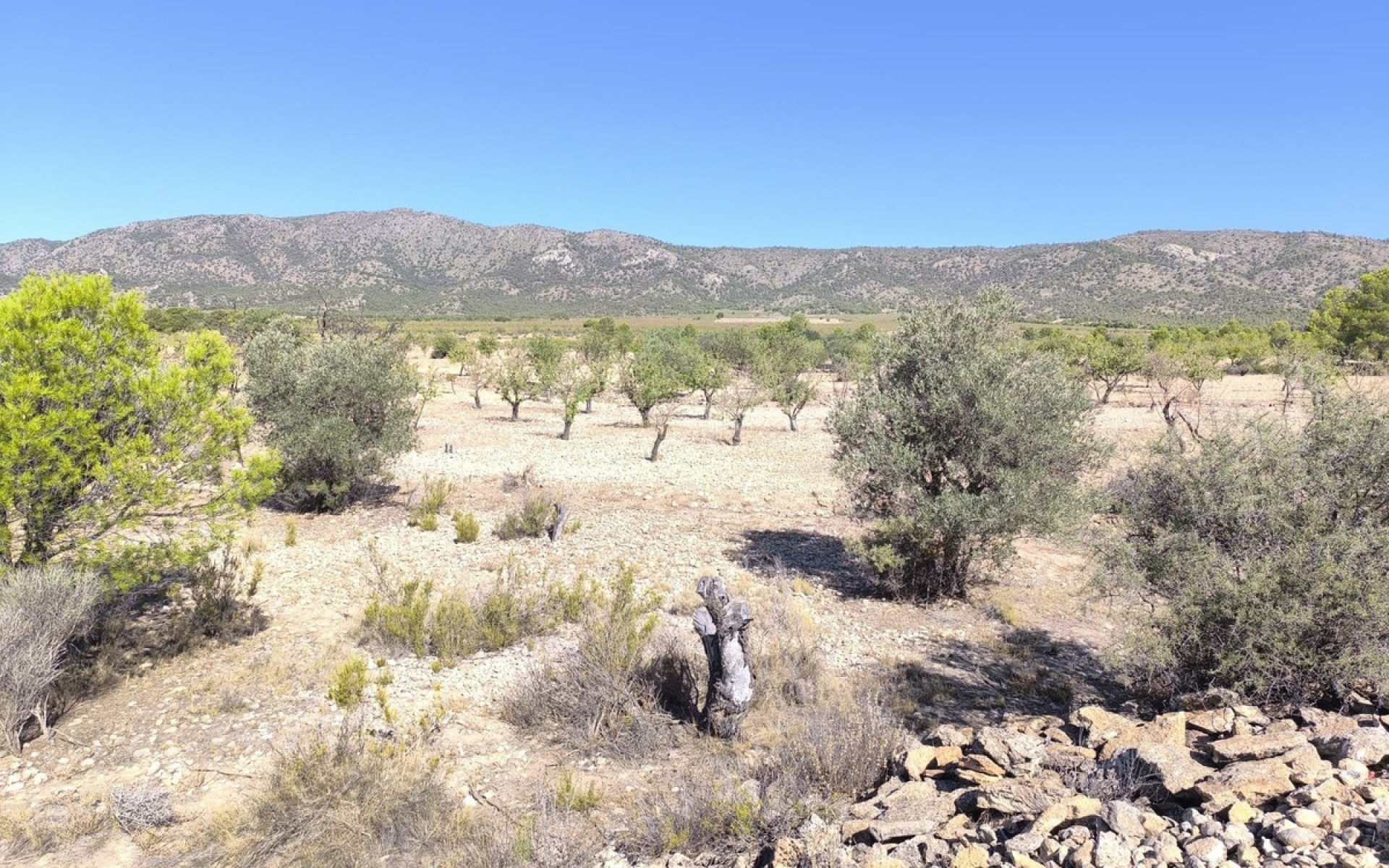 Resale - Land - Monóvar - Monòver - Monóvar - Monòver Centro