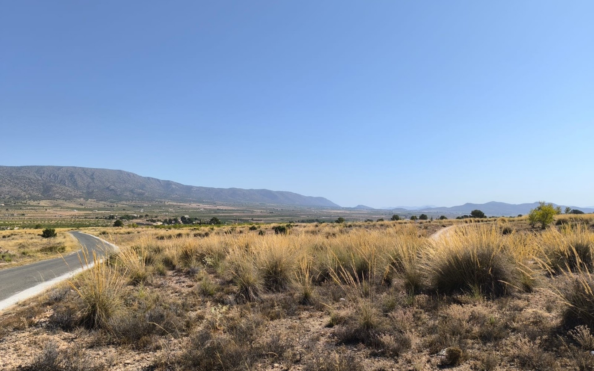 Resale - Land - Pinoso - Lel