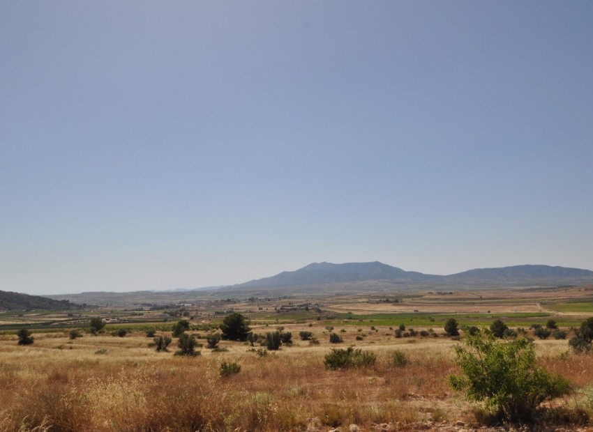 Resale - Land - Pinoso - Pinoso Centro