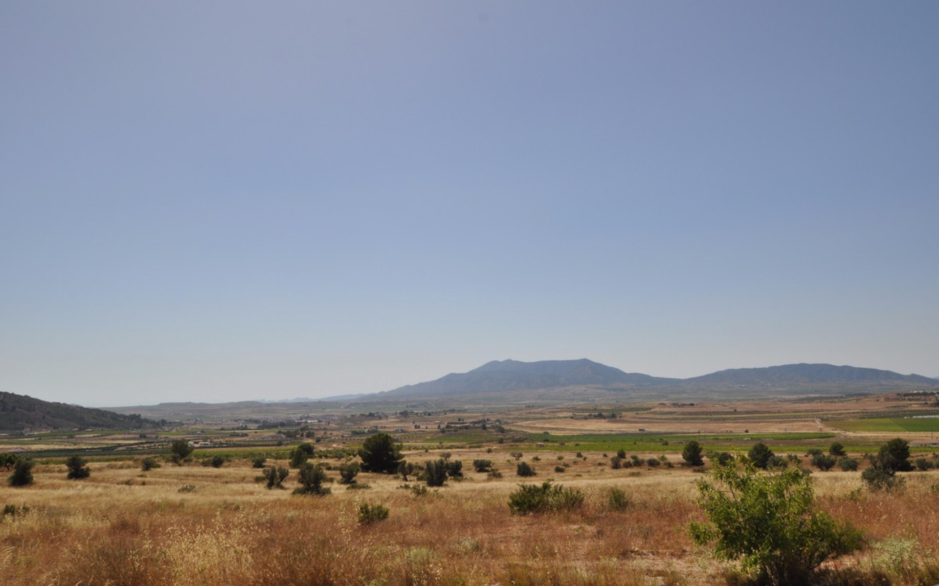 Resale - Land - Pinoso - Pinoso Centro