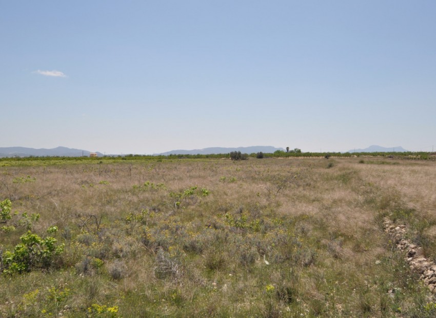 Resale - Land - Pinoso - Pinoso Centro