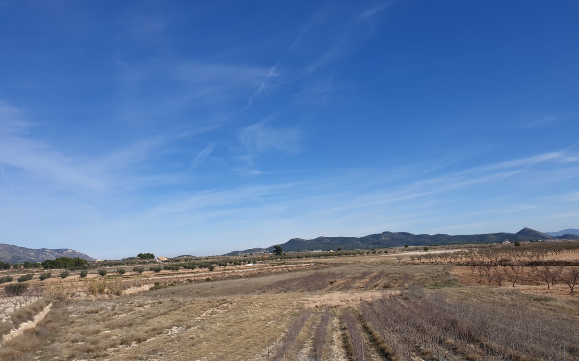 Resale - Land - Pinoso - Pinoso Centro