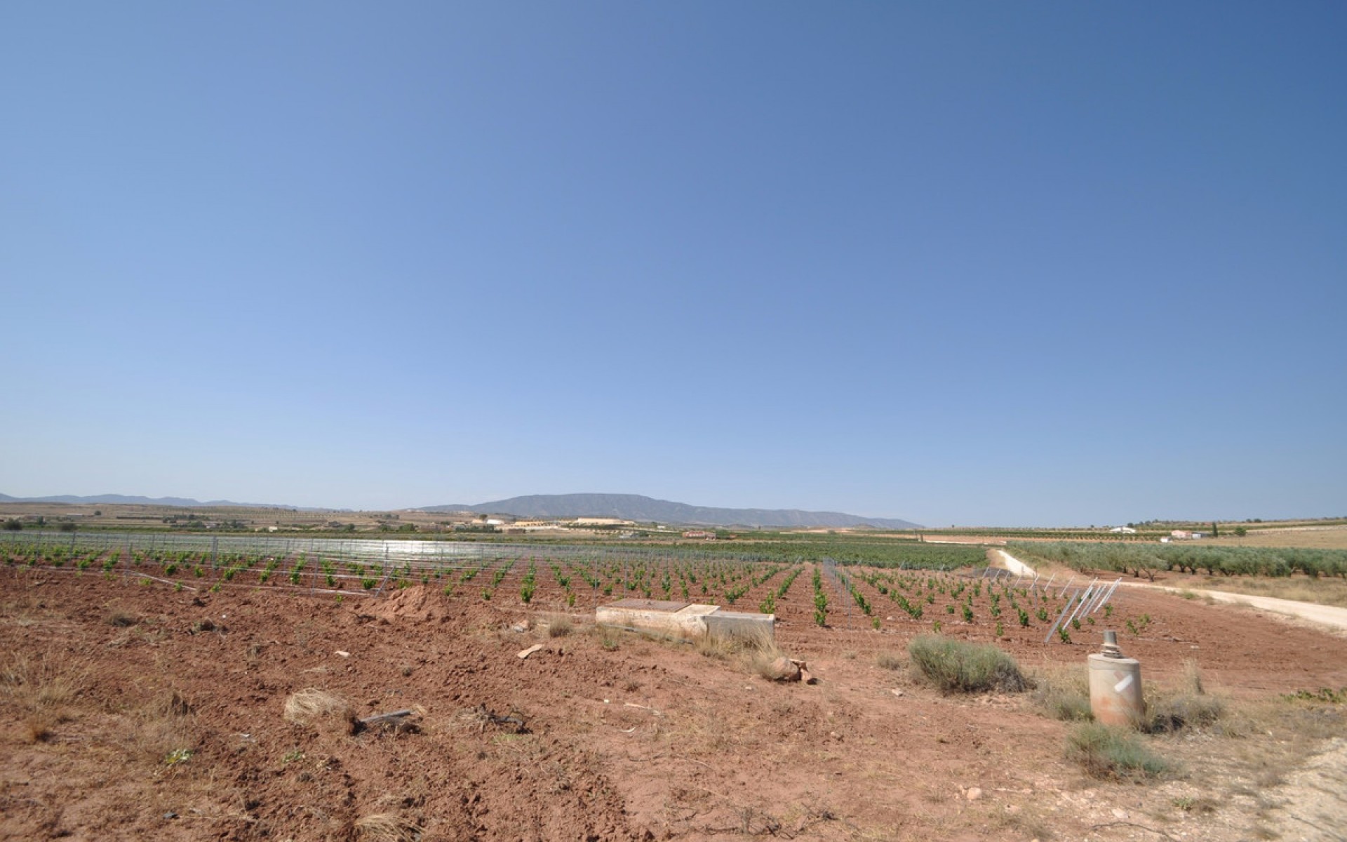 Resale - Land - Pinoso - Pinoso Centro