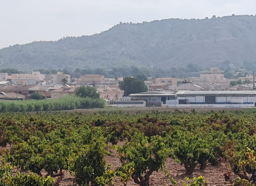 Resale - Land - Pinoso - Pinoso Centro