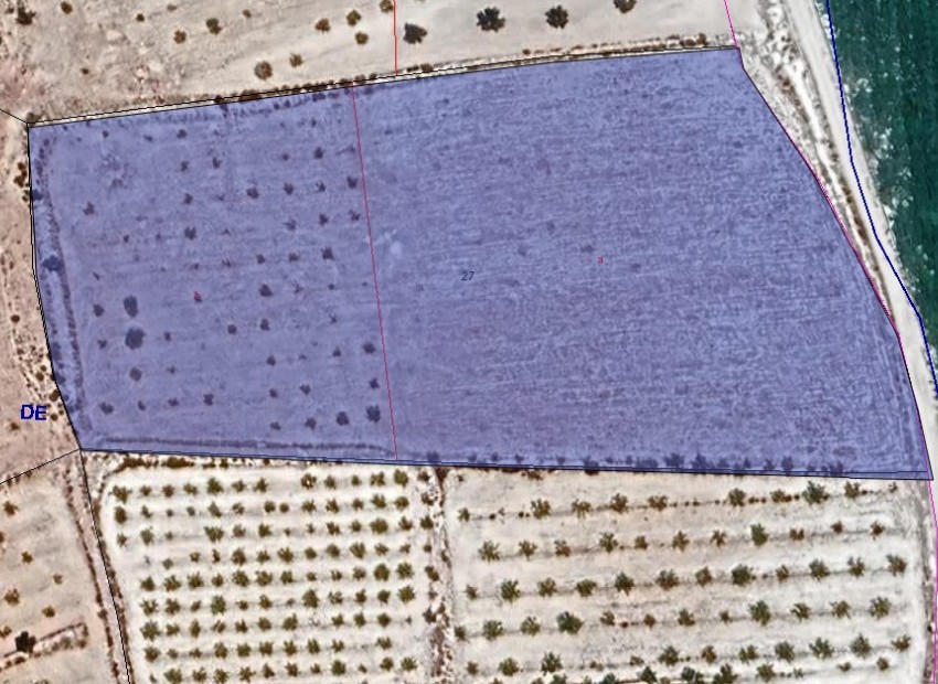 Resale - Land - Pinoso - Pinoso Centro