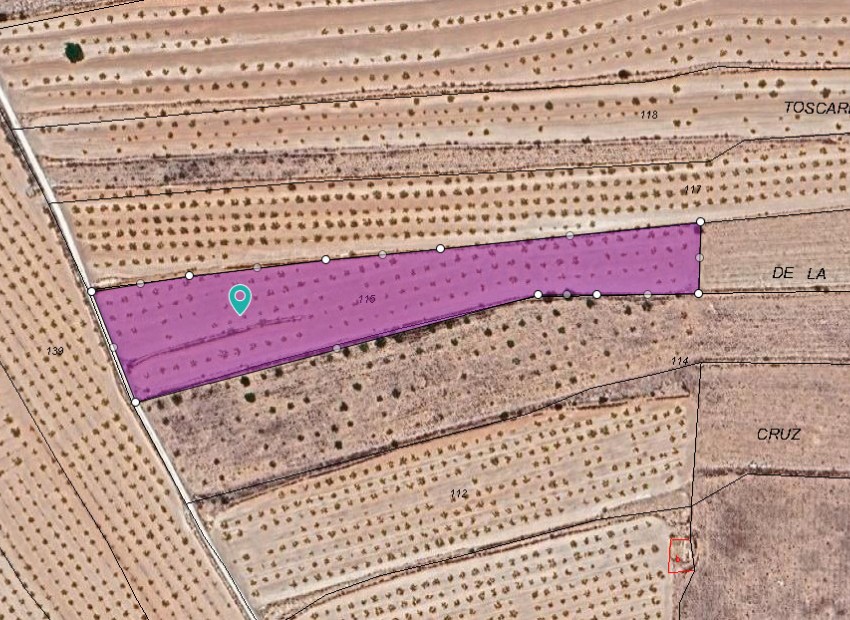 Resale - Land - Pinoso - Pinoso Centro